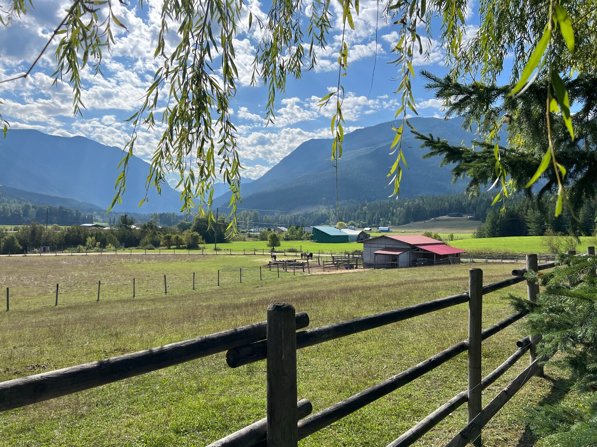 BROUSE CREEK B&B - Updated 2024 Reviews (Nakusp, British Columbia)