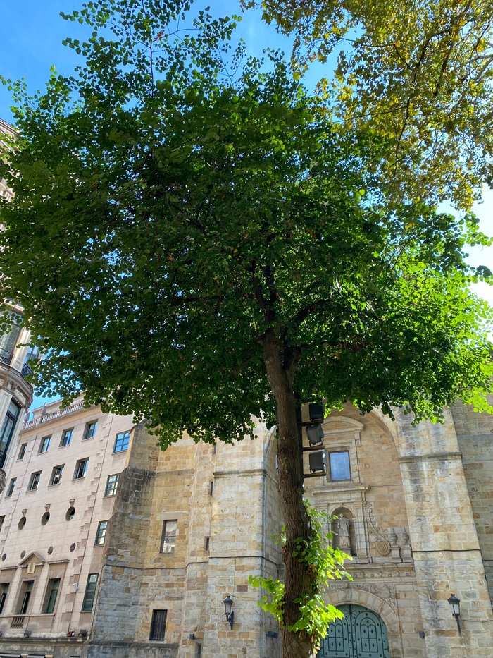 Imagen 4 de Iglesia de San Vicente