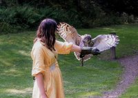 Loch Lomond Bird of Prey Centre