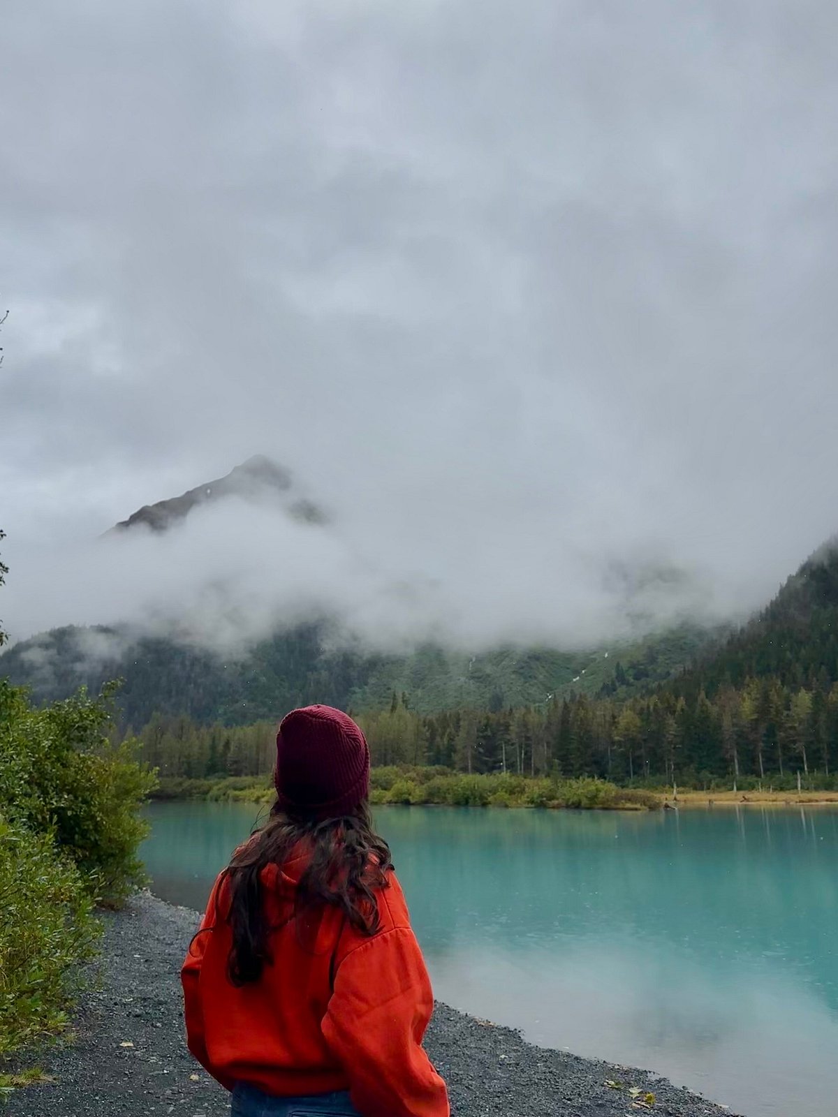 full day tour in turnagain