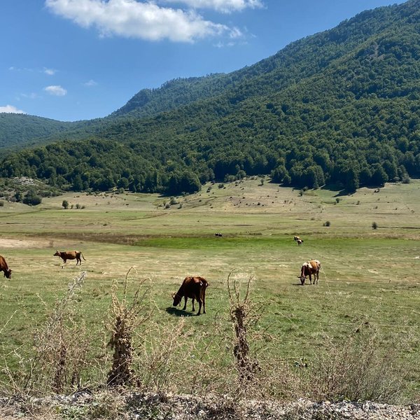 Elbasan County 민박 추천 베스트 10 - Tripadvisor Elbasan County 민박 추천 베스트 10  - Tripadvisor