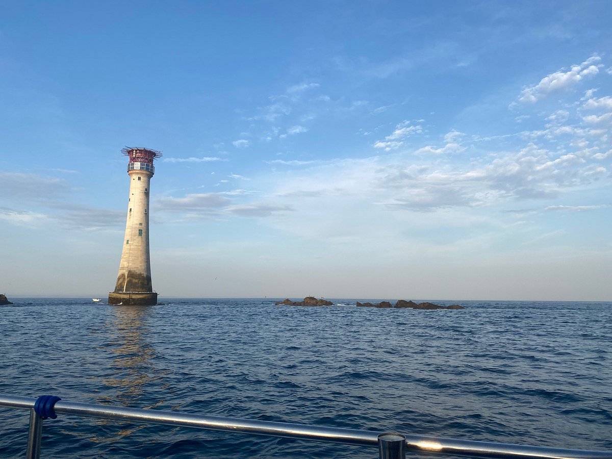 Plymouth Marine Safari, Плимут: лучшие советы перед посещением - Tripadvisor