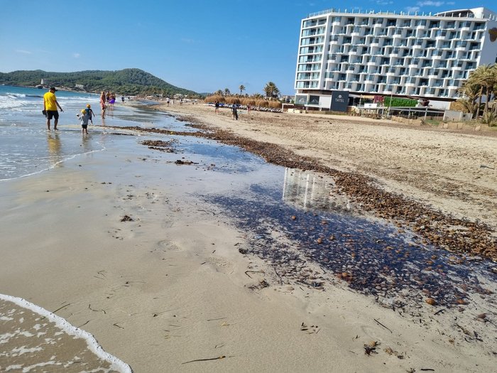 Imagen 10 de Playa d'en Bossa