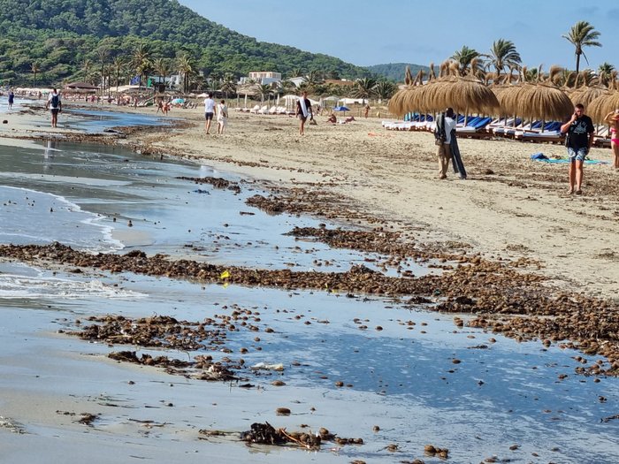 Imagen 9 de Playa d'en Bossa