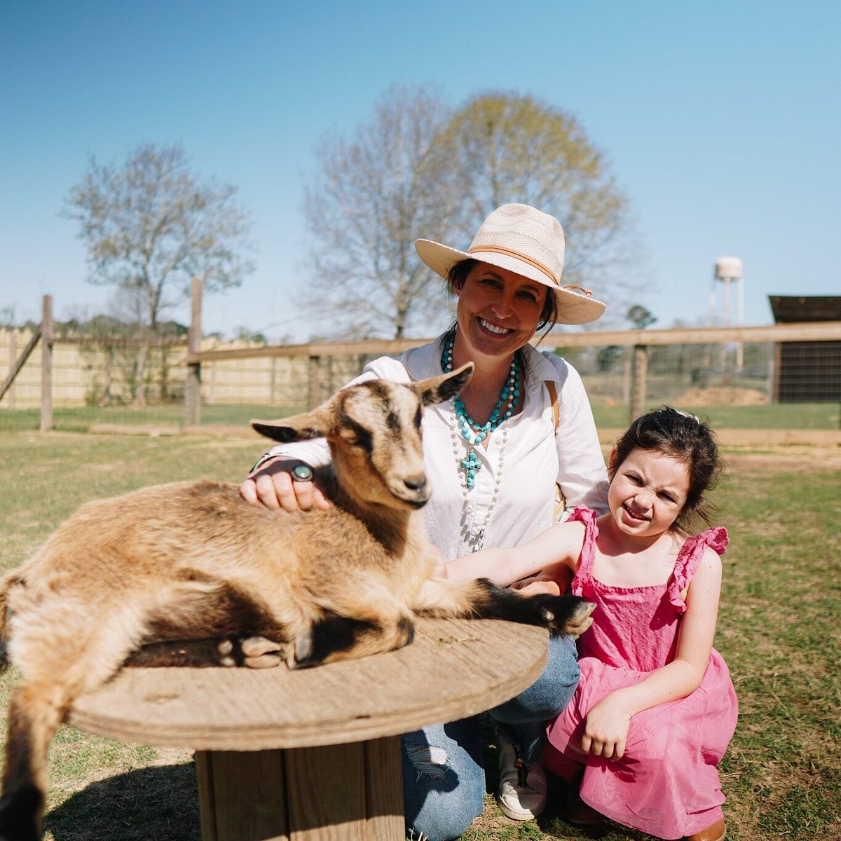 Barn Hill Preserve (Ethel) - Alles wat u moet weten VOORDAT je gaat