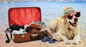 Il nostro hotel è pet friendly