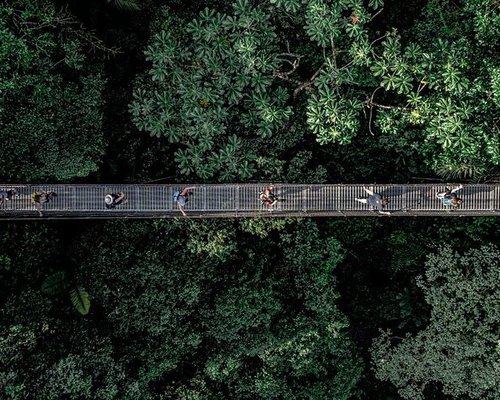 mistico - Opiniones de viajeros sobre Belenus Bosque Temático, El