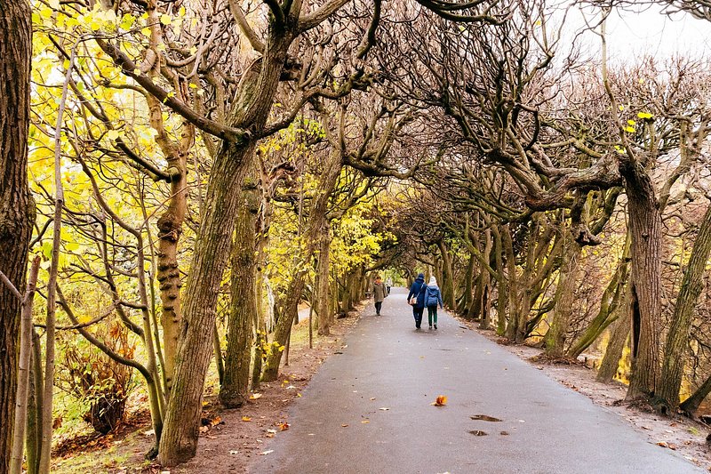 A couple strolling down a tree-lined path with golden leaves in Oliwski Park in Gdansk, Poland