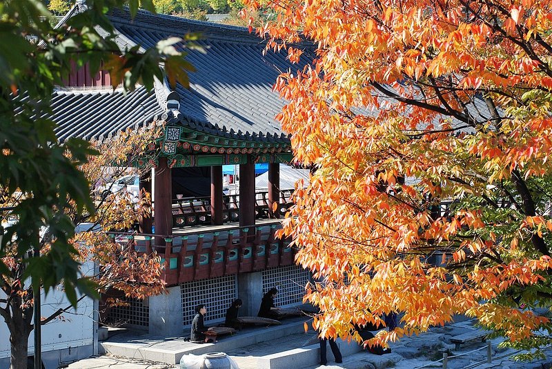 Travellers enjoying the vibrant autumn foliage at Changdeokgung Palace in Seoul, South Korea