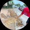Thushara Fernando