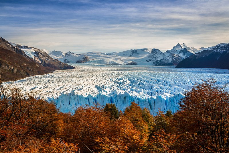 Panoramic view of the Perito Moreno Glacier flanked by beautiful autumn foliage near El Calafate in Patagonia, Argentina