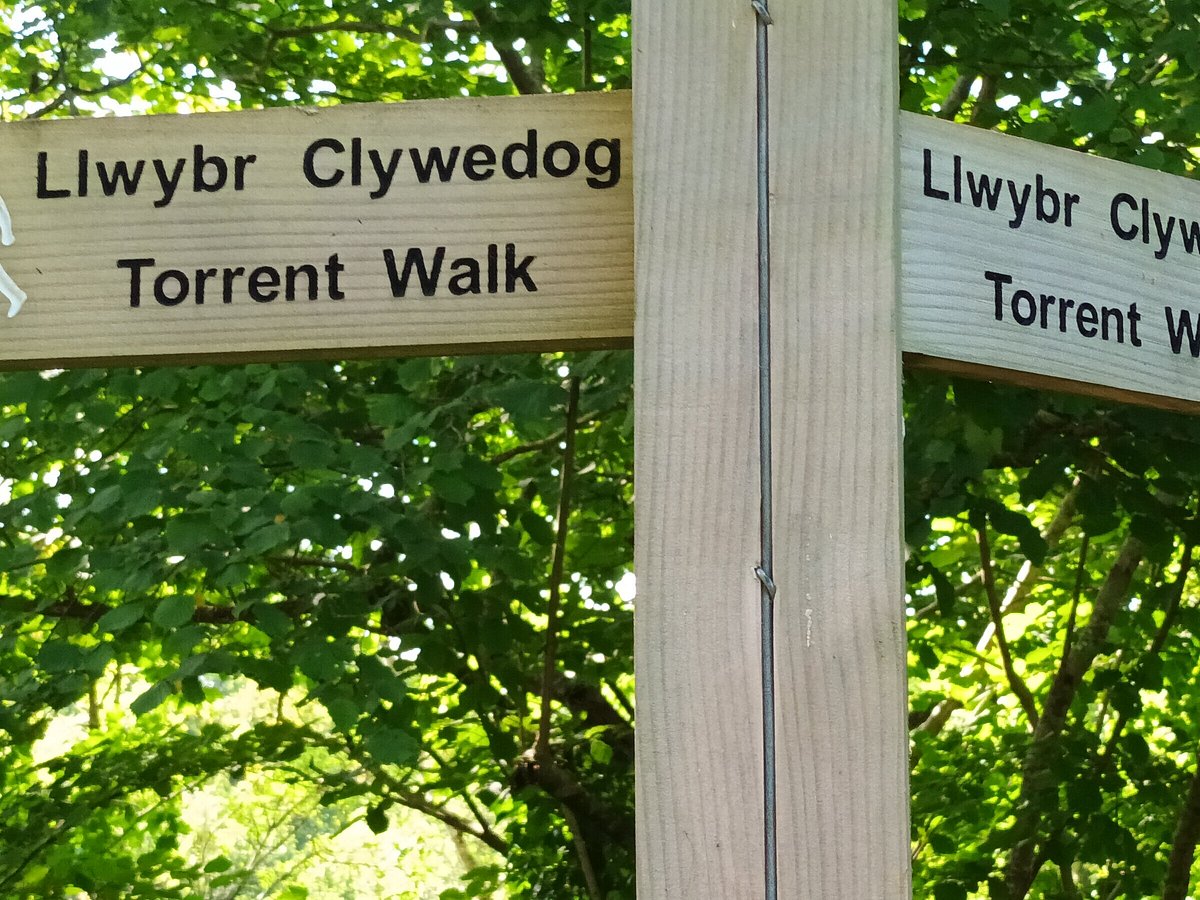 Torrent Walk, Долгеллау: лучшие советы перед посещением - Tripadvisor