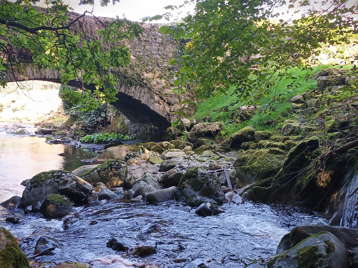 Torrent Walk, Долгеллау: лучшие советы перед посещением - Tripadvisor