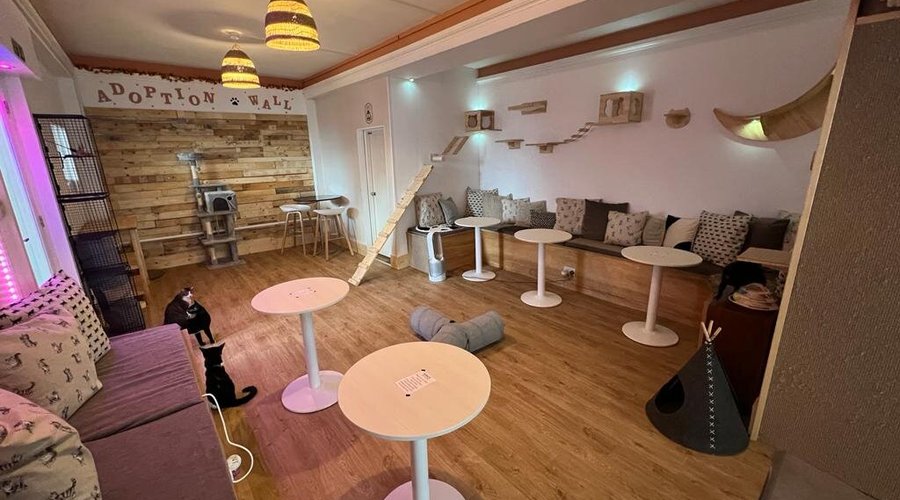 Main Venue