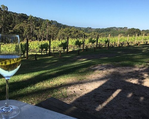 swan valley wine tours groupon