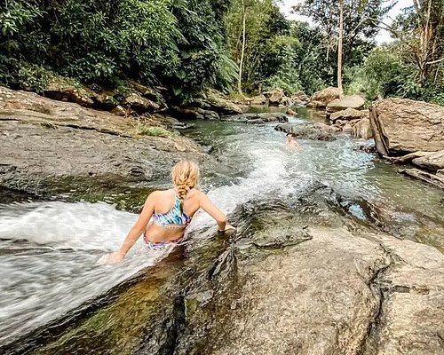 el yunque tours tripadvisor