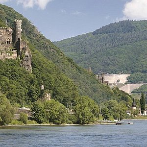 one day river cruises in germany