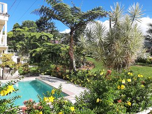 Happy Samoan family - Picture of Dave Parker Eco Lodge, Upolu - Tripadvisor