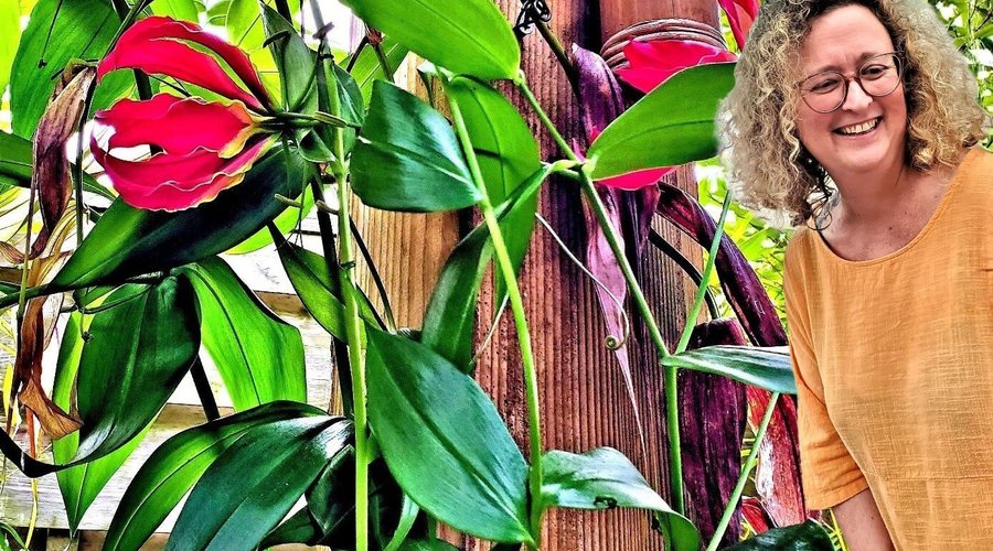 Accueil chaleureux dans un cadre tropical.