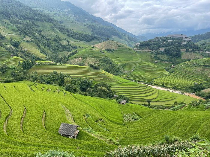 Mu Cang Chai Ecolodge Hôtel (Vietnam) : tarifs 2023 et 20 avis