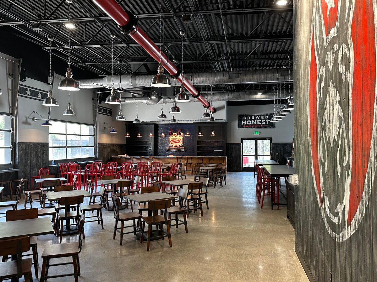 SALT FACE MULE BREWING CO., Asheville - Menu, Prices & Restaurant