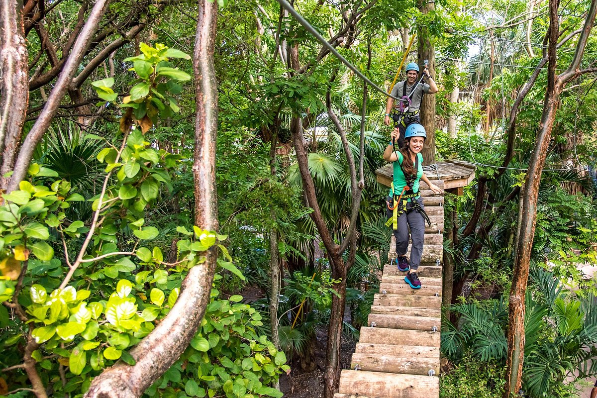 Treetop Trekking Miami, Майами: лучшие советы перед посещением - Tripadvisor