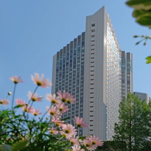 Exterior Feature