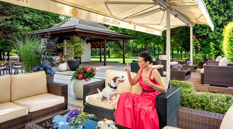 Hotel Summer Terrace