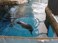 Love the stingray tank! - Review of Tropicana Field, St. Petersburg, FL -  Tripadvisor