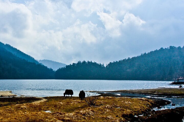 2024 (Gangtok) Magical Valley Old Silk Route Of Sikkim