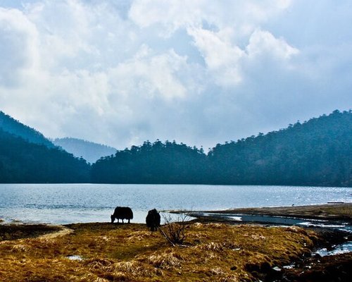 sikkim tourism package tours