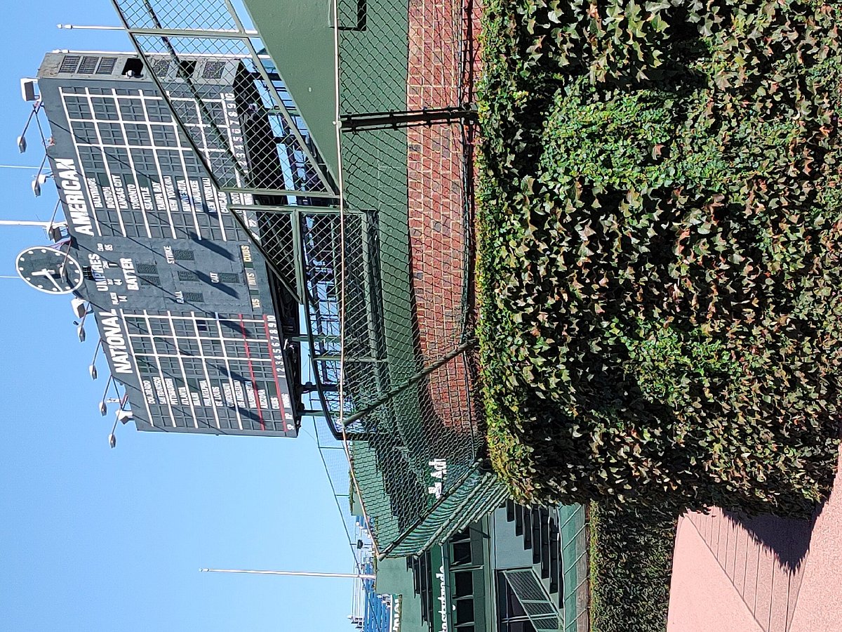 Wrigley Field tour, A close-up of the ivy in left-center fi…, The West  End