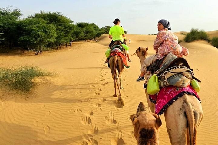 Thar Desert Rajasthan - Thar Desert Rajasthan India- Great Indian Thar  Desert Rajasthan