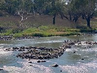 Brewarrina Aboriginal Fish Traps - All You Need to Know BEFORE You