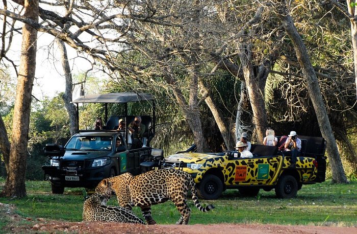 Peões de Pantanal tiram o fôlego da web em ensaio fotográfico. Confira!