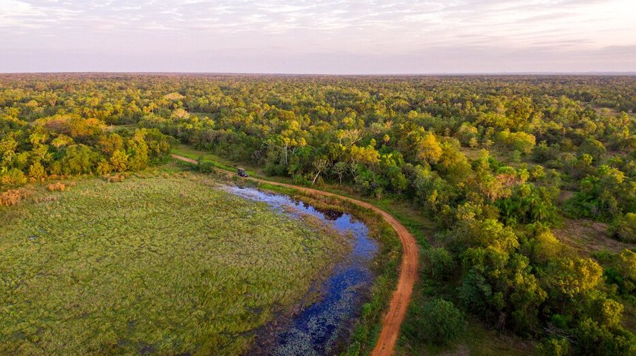 experiência - natureza - Felipe Castellari - Caiman, Pantanal