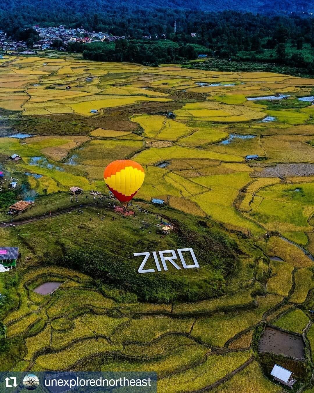 Travel Articles | Travel Blogs | Travel News & Information | Travel Guide |  India.comEverything you need to know about the Ziro Festival of Music |  India.com