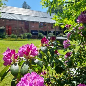 Bunkhouse and Garden