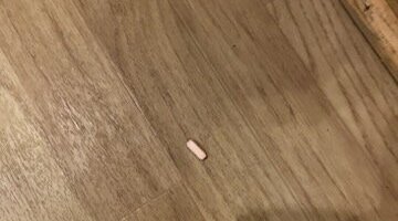 Thank you Lord my doggies did'nt get ahold of this pill on the floor
