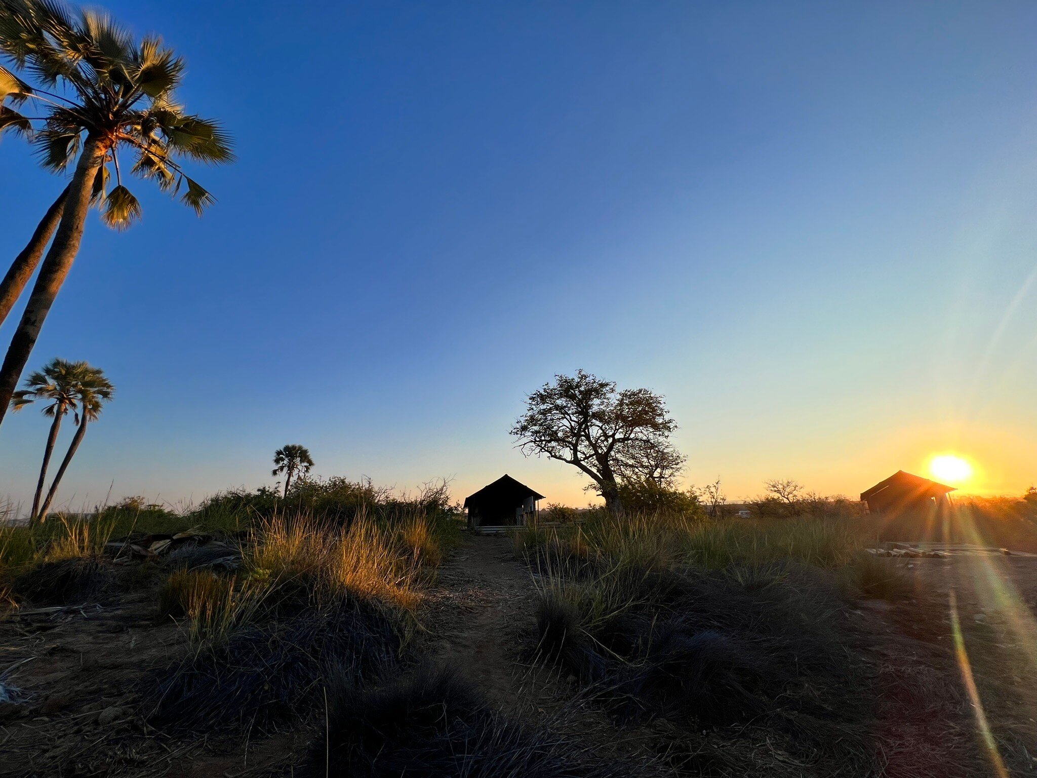 PALMWAG LODGE B&B (Namibie) : Tarifs 2024 Et 6 Avis