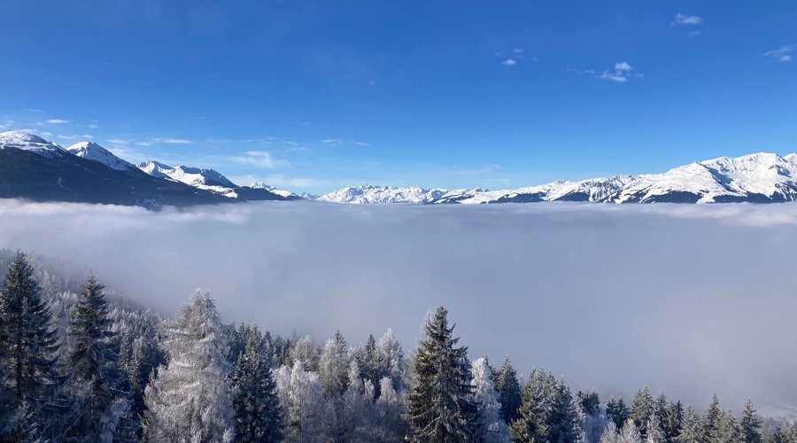 petit matin hivernal