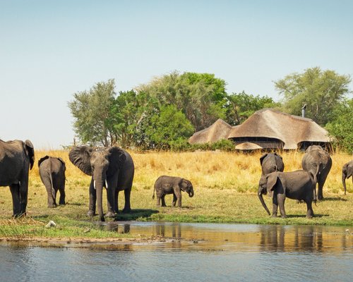 CHOBE SAVANNA LODGE - Updated 2024 Reviews (Namibia/Caprivi)