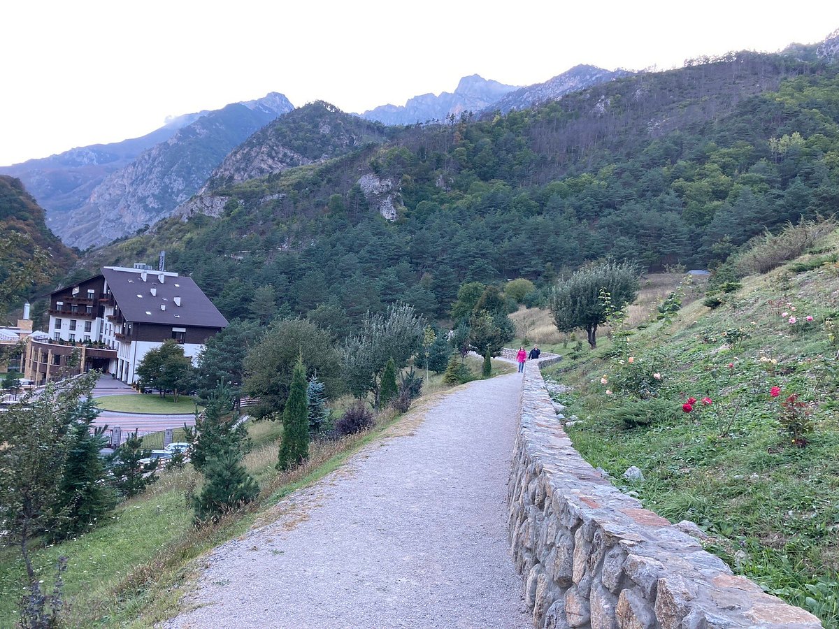 Тагардон. Форрест терраса отель Владикавказ. Форрест терраса отель Осетия. Forest Terrace Hotel. Forrest Terrace Hotel.