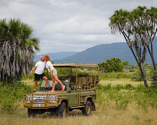 safari in tanzania piu zanzibar