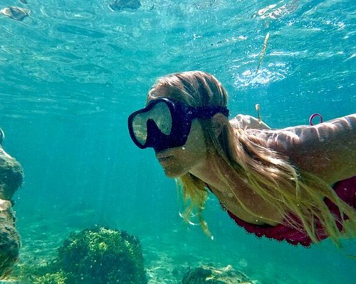 key biscayne tours