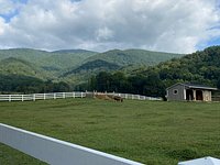 What I Love About Being Your Mom Book - Winchester Creek Farm - Granny's  House at Winchester Creek Farm