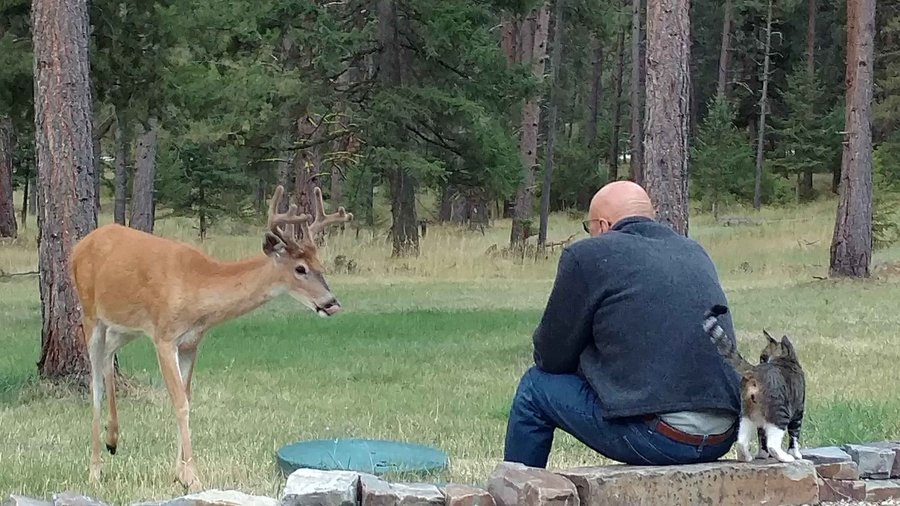 Get close to Nature