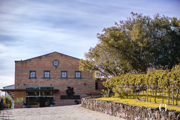 Bento Goncalves, Brazil - July 11, 2019. Company Sign On A Wood Wall With  The Casa Vanni Name, A Countryside Restaurant Near Bento Goncalves. A  Friendly Country Town Famous For Its Wine