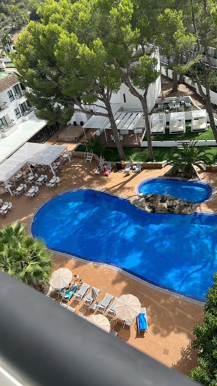 Imagen 24 de Hotel Palmira Paguera & Suites