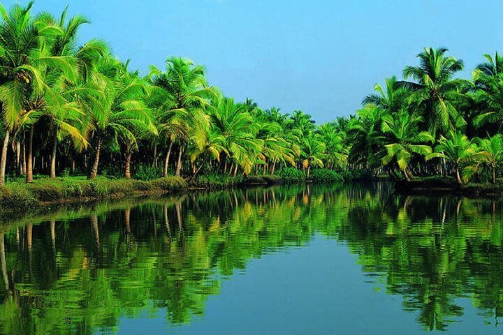 Picnic Spots in Kerala | Kerala Tourism